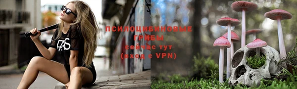 ГАЛЛЮЦИНОГЕННЫЕ ГРИБЫ Кизел