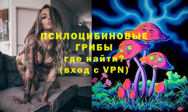 прущие крисы Переславль-Залесский