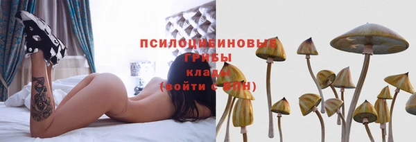 прущие крисы Переславль-Залесский