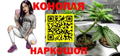 мяу мяу мука Балаково