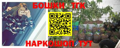 спайс Гай