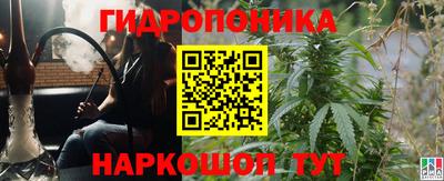 индика Азнакаево