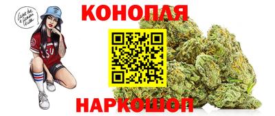 мяу мяу мука Гатчина