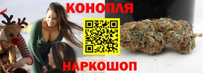 мяу мяу мука Гатчина