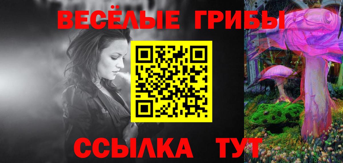 Галлюциногенные грибы GOLDEN TEACHER  Славянск-на-Кубани 