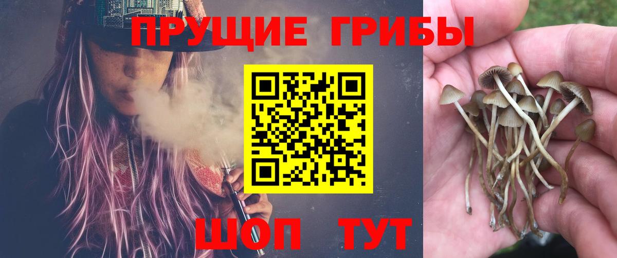 Галлюциногенные грибы мицелий  Галлюциногенные грибы ЛСД  Славянск-на-Кубани  Вход с VPN 