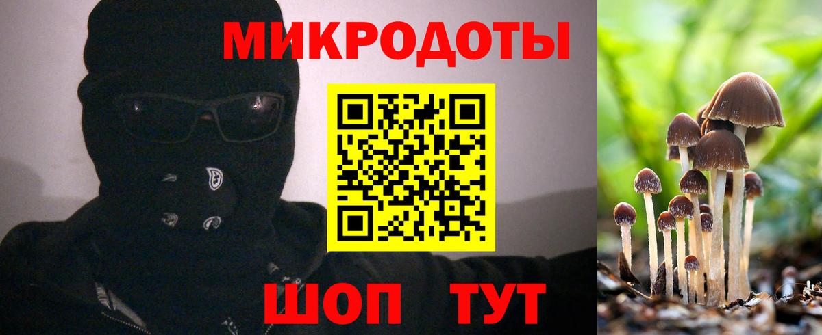 Псилоцибиновые грибы мухоморы Славянск-на-Кубани